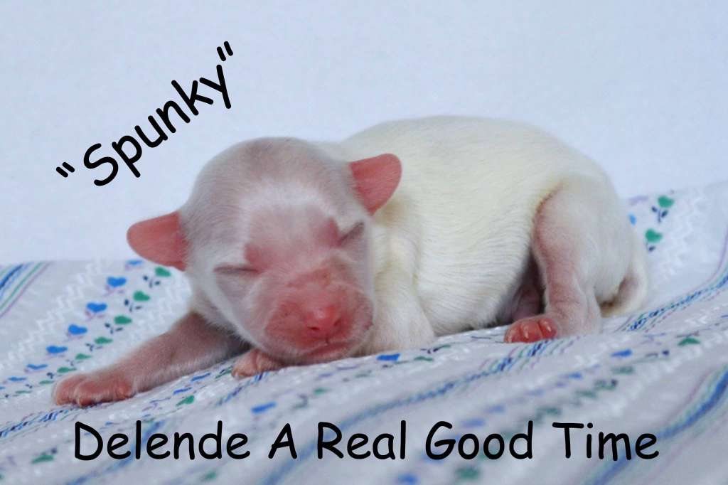 Delende A Real Good Time!