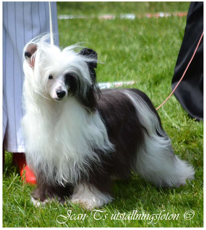 Prefix Flicka I Frack