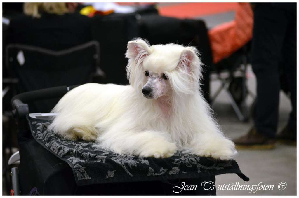 Prefix Pearl Of Passion