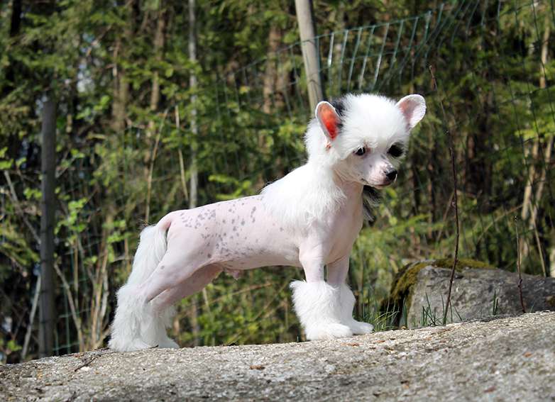 Arte Figure Let's Talk About X