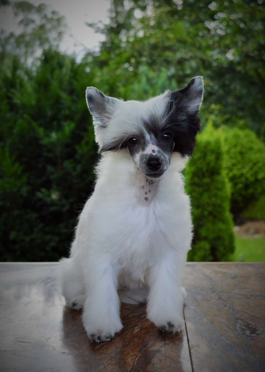 Euforia U Stóp Szklanych Gór