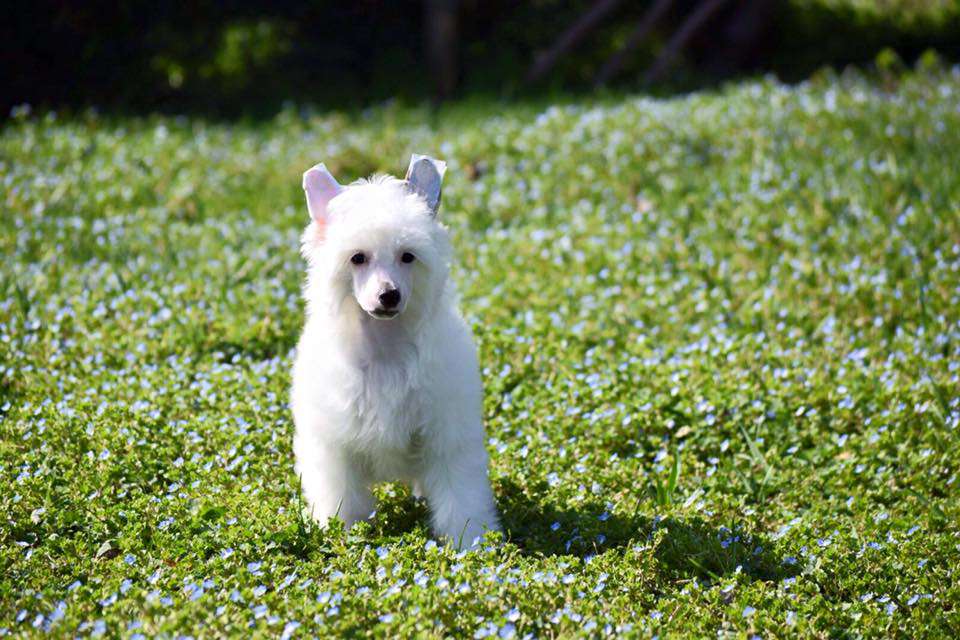 Dakota Rose The First and The Only