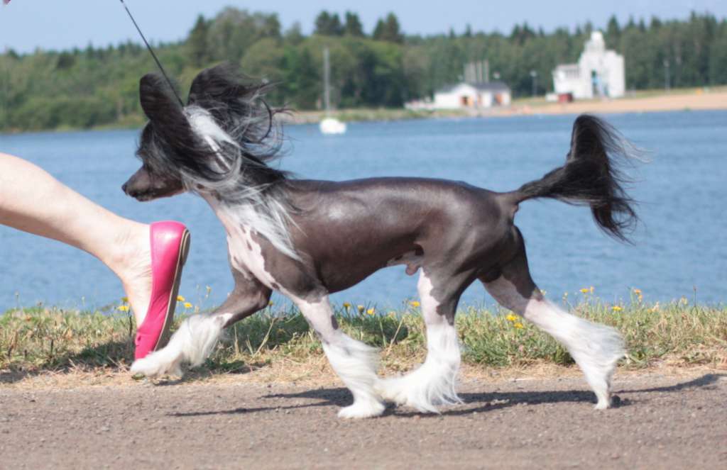 Speechless Powerful And Famous