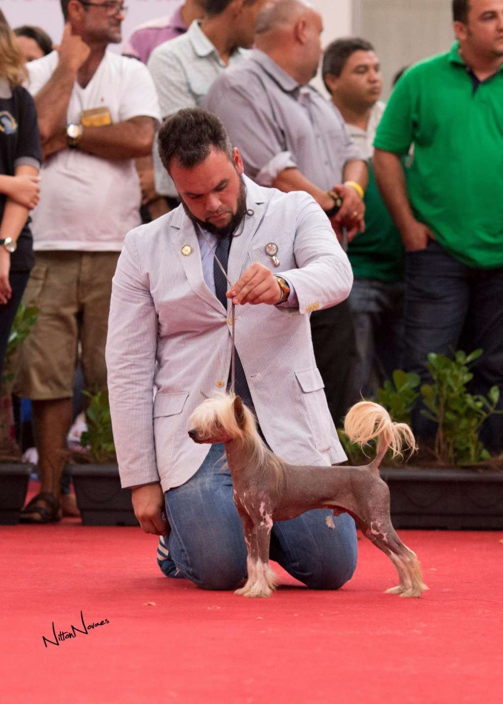 Xororo Chino Itapuca