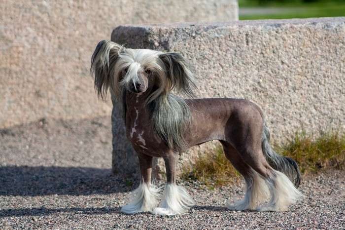 Maybell's Young Forever