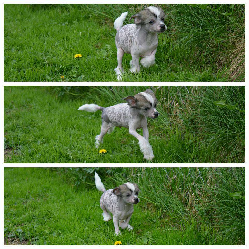 Fiabella's Unexpected Twist