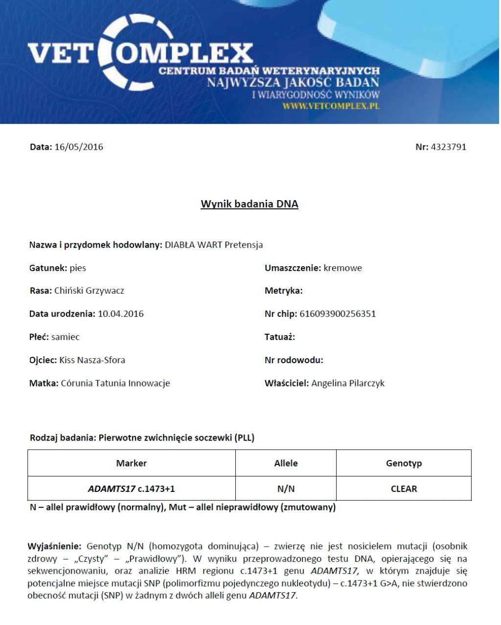 Diabla Wart Pretensja