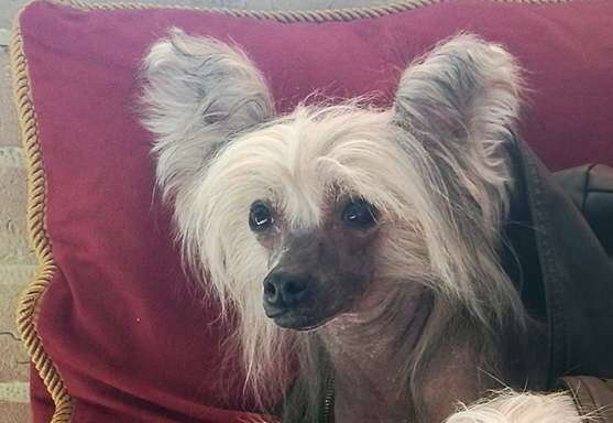 Leopold de Byzantium