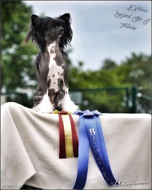 EXxiino's Beyond Color Of Thunder