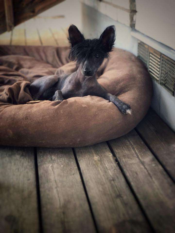 EXxiino's Beyond A Perfect Storm