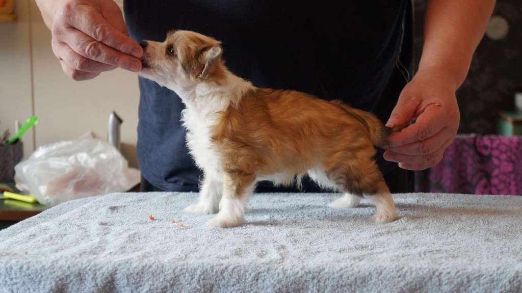 Berlottan Charlie Hall