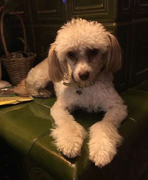 So-soft Ferrero Rocher