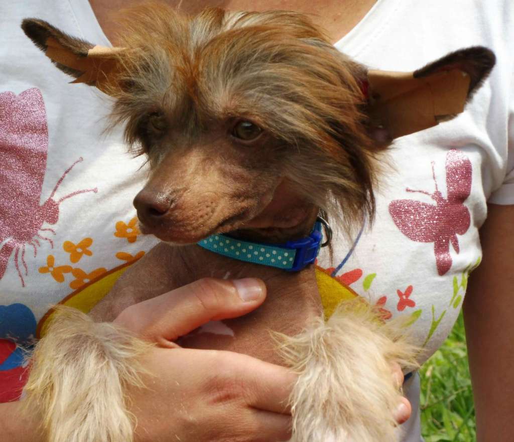 So-soft Follow my Heart