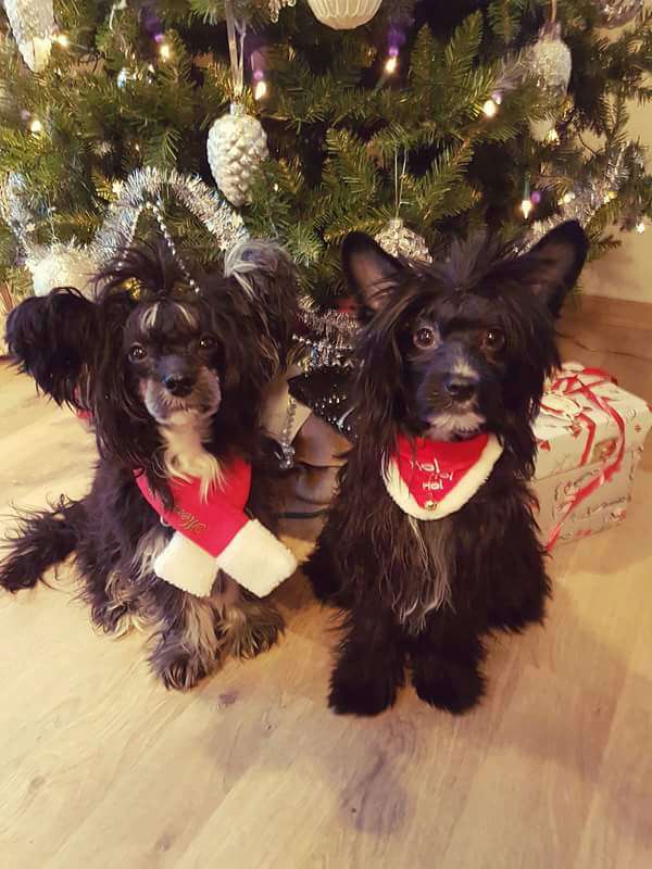 Absolute Souls Shadow Princess