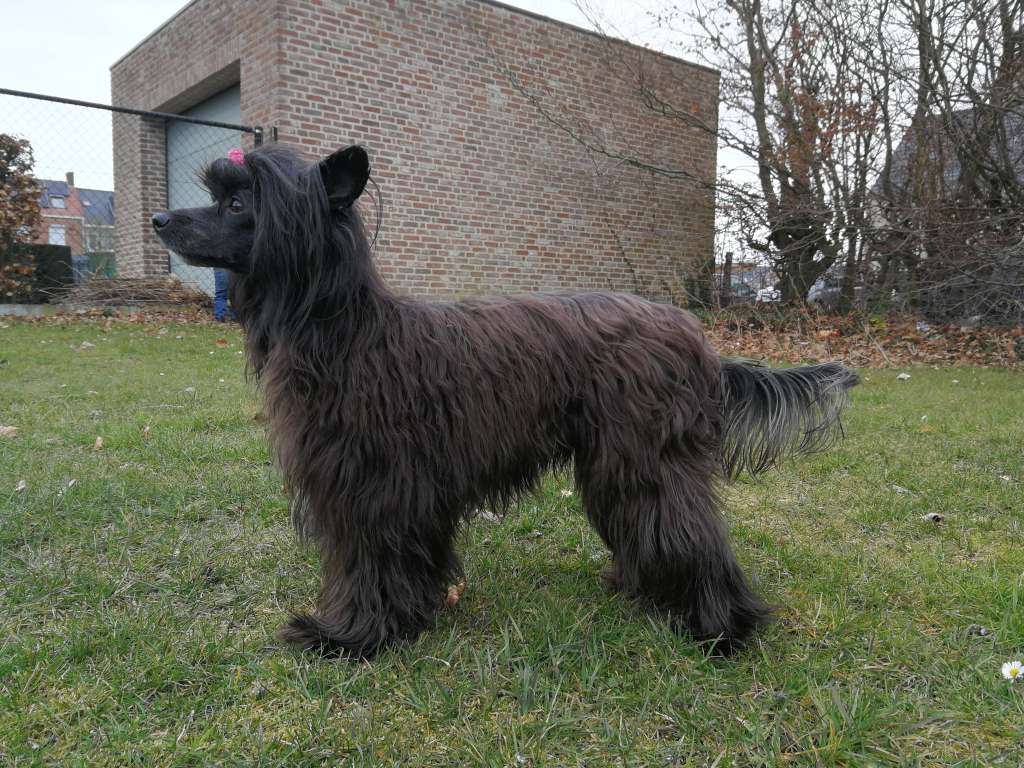 Derika Salvador Dali