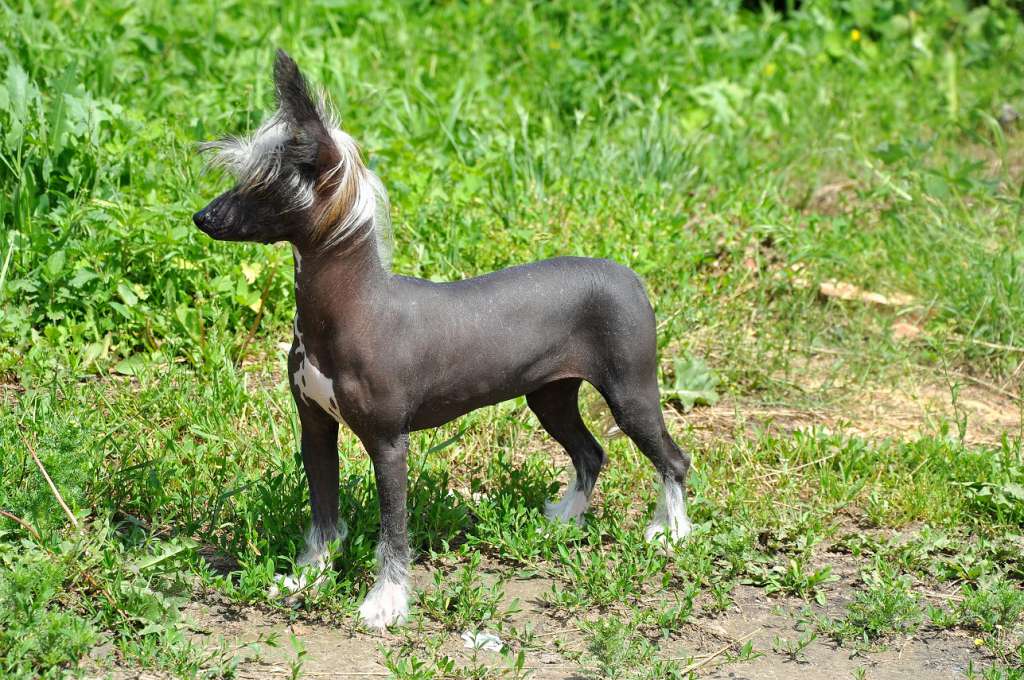 F Michelle Winning Smile