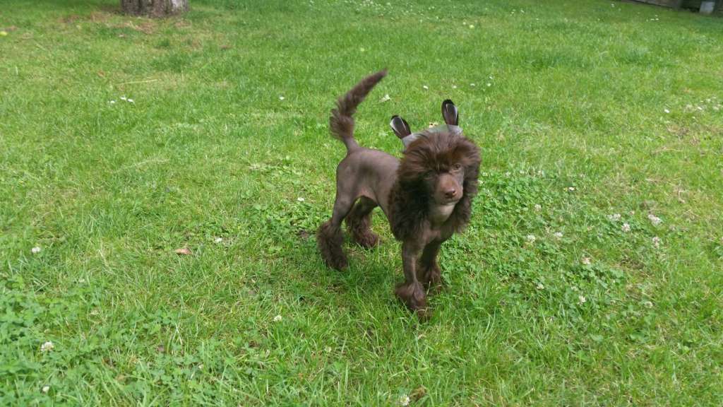 Felici Amici Eska-Bay