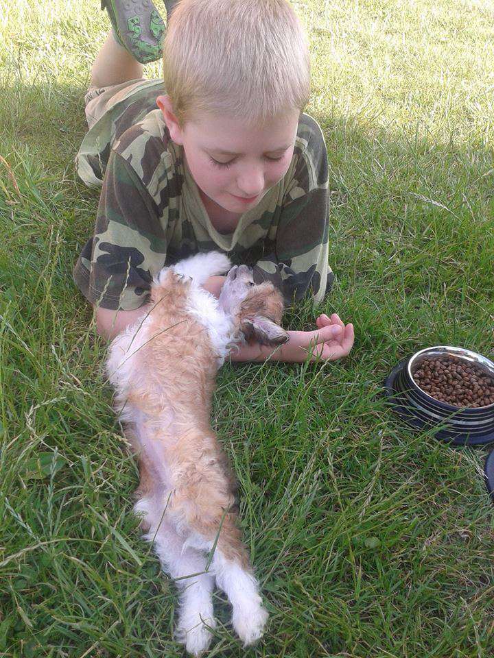 Basileia Delu Avokaduh