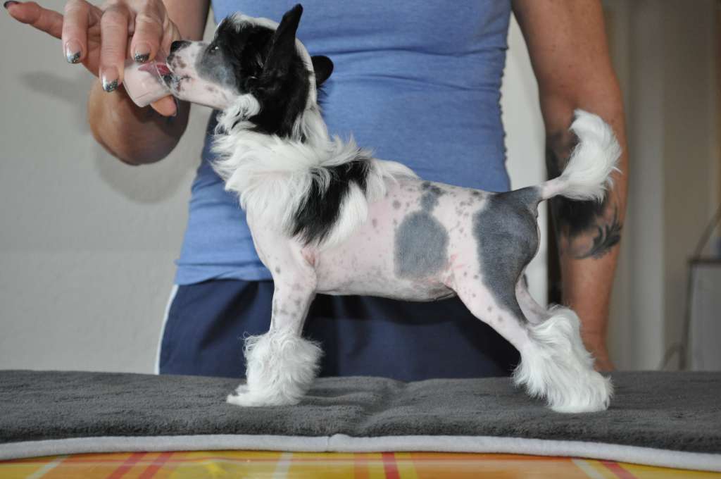 Bubbling Spirit Honey