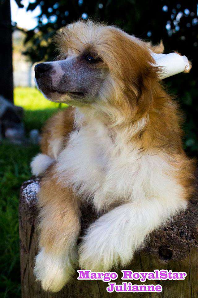 Margo RoyalStar Julianne