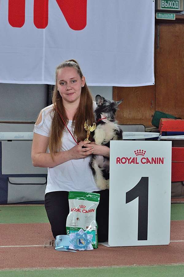 Gallurius  Night  Fairy  Nita