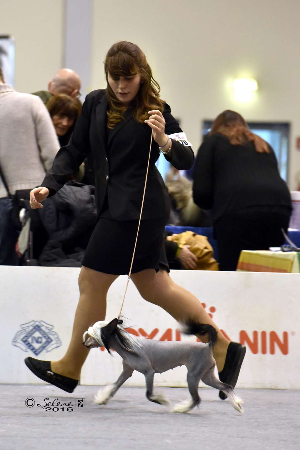 Dakota Rose Ladyoscar @ Myangel