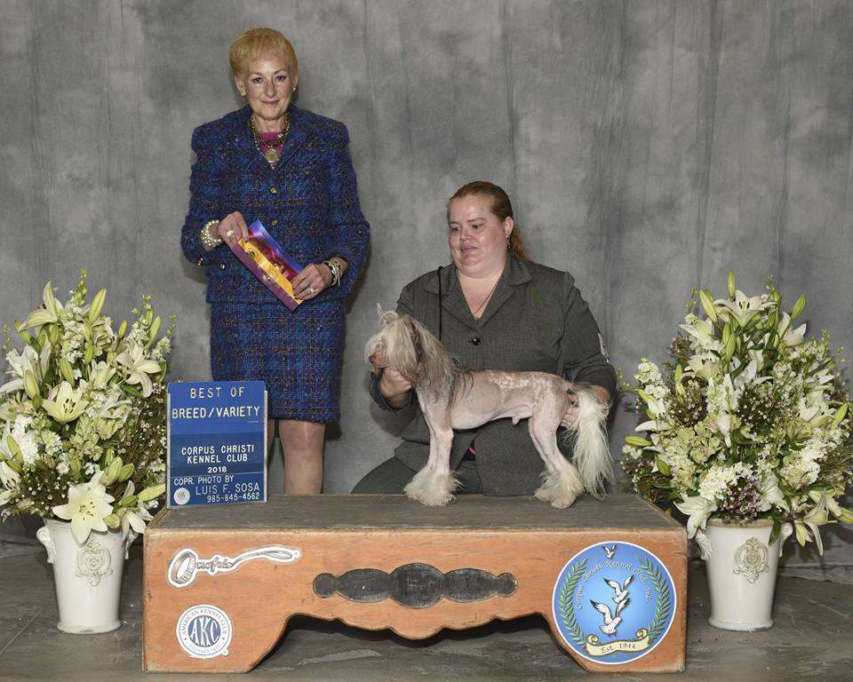 Muso Grazioso Nice Always in my Heart