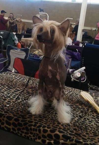 CH MyAngel-Cristalls Let The Magic Happen at Kylin