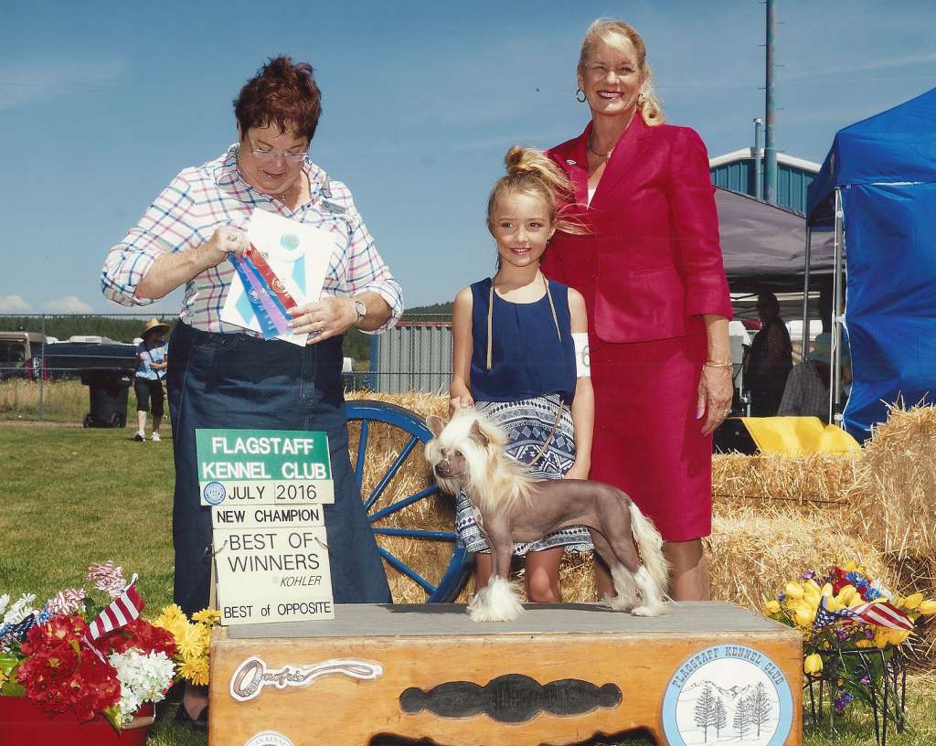 GCH Carrera Sunlit Made You Bling