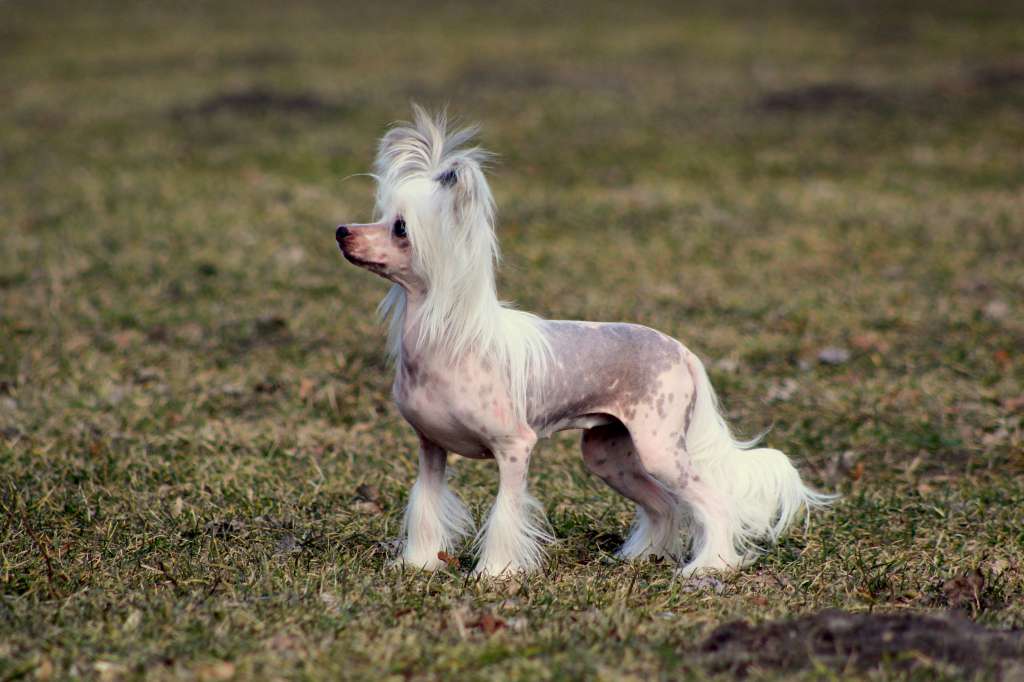 Secret Herbatka We Dwoje