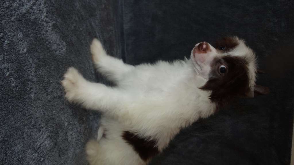 Once Upon A Dream Prior Caleb