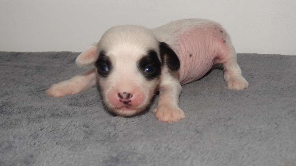 Once Upon A Dream Peaceful Finnick