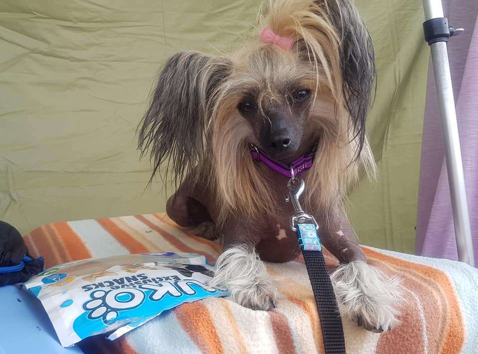 Adeline Jedeansa Viane