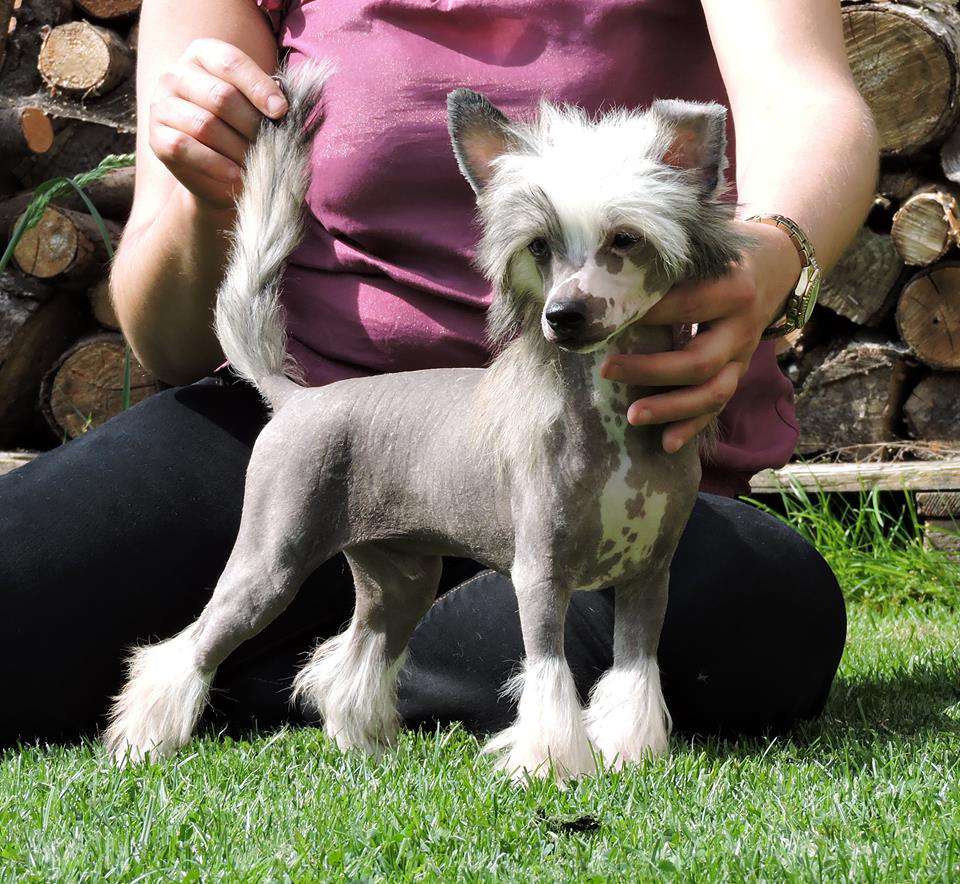 Forever and Ever Heybett