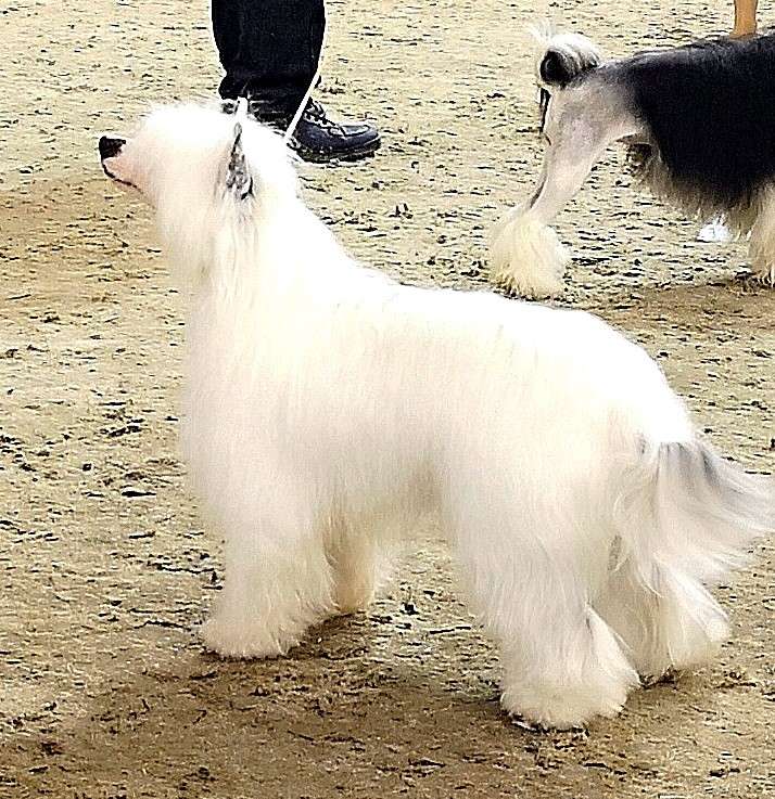 Show Galaktika Expensive Jewelry...