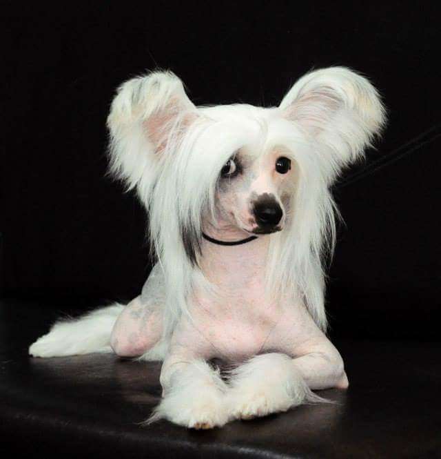 Show Galaktika Energy of Stars...