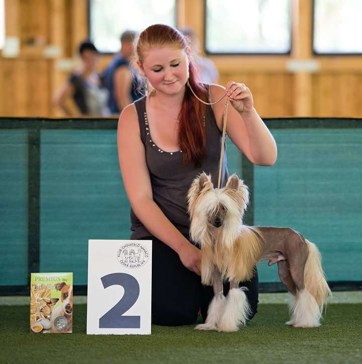 Alva Edison Fenix de Fuego