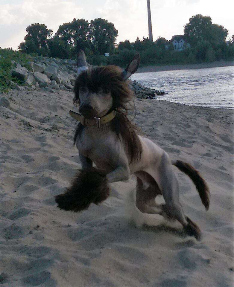 Gaston Gintaro Magija