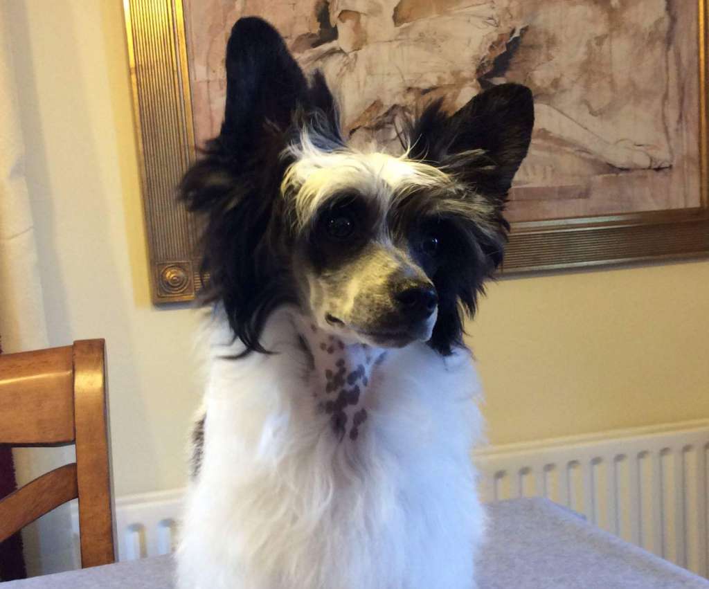 Talltales Casino Royal