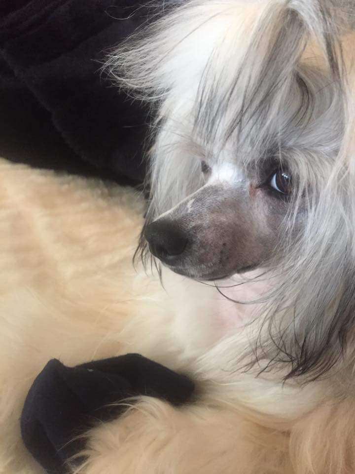 Tiny Rascal's Keep On Smiling