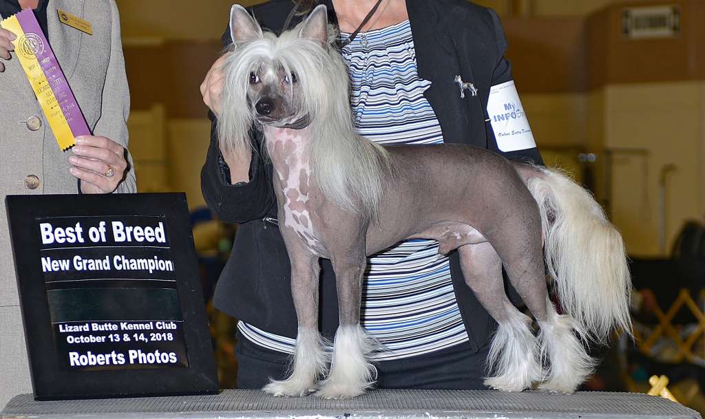 Deja Vu Hotline Bling By Reimar