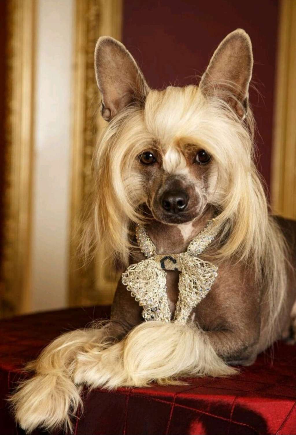 Aubin Grand Insolite Familier