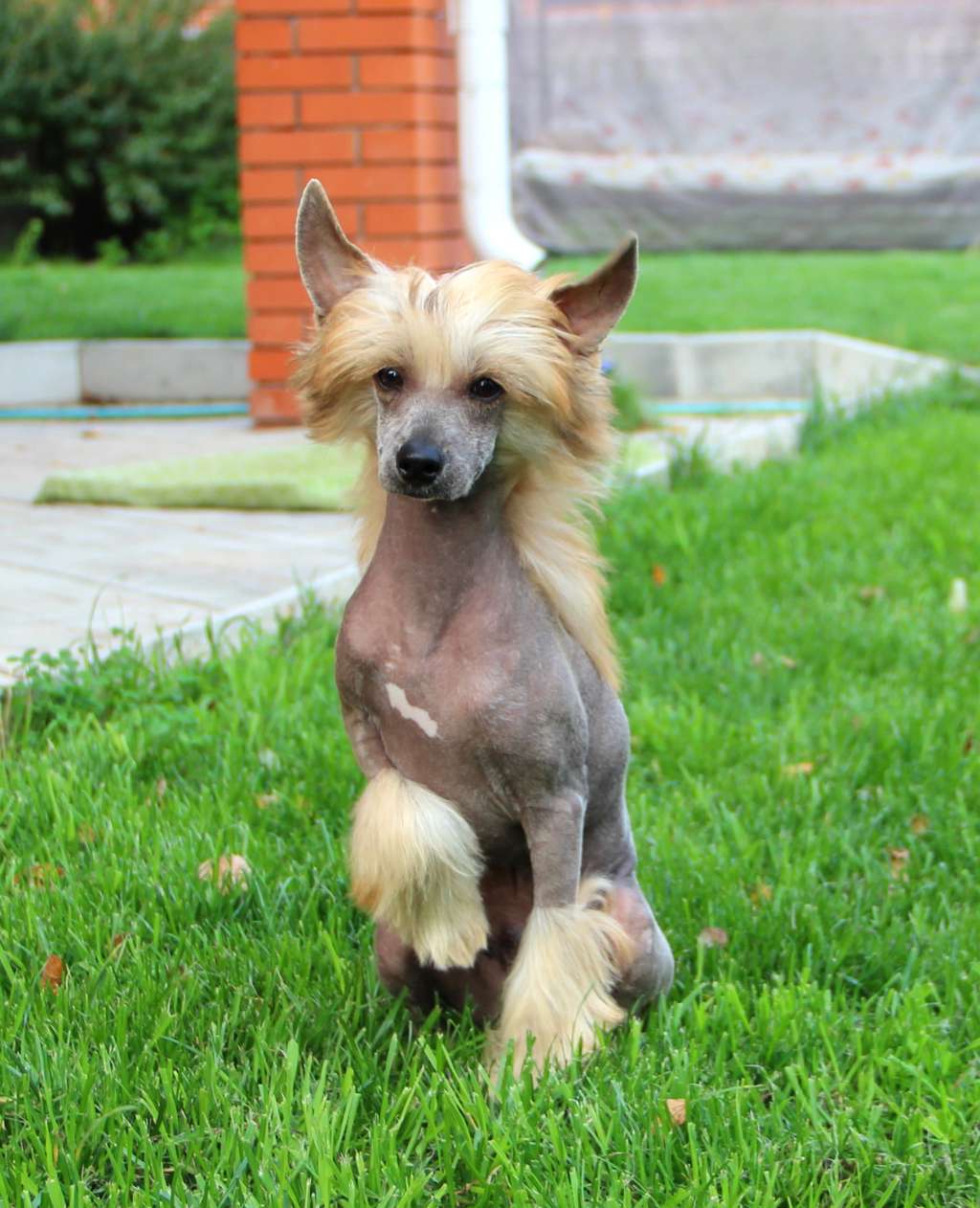 Rolana Family Eremey