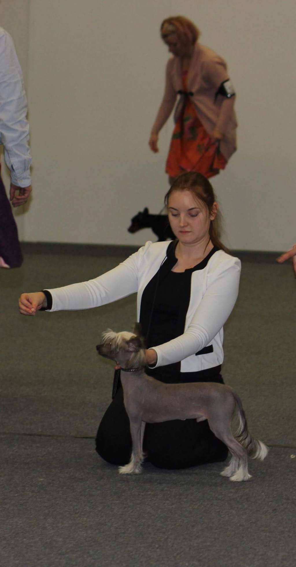 Marppulan Best Of The Beast