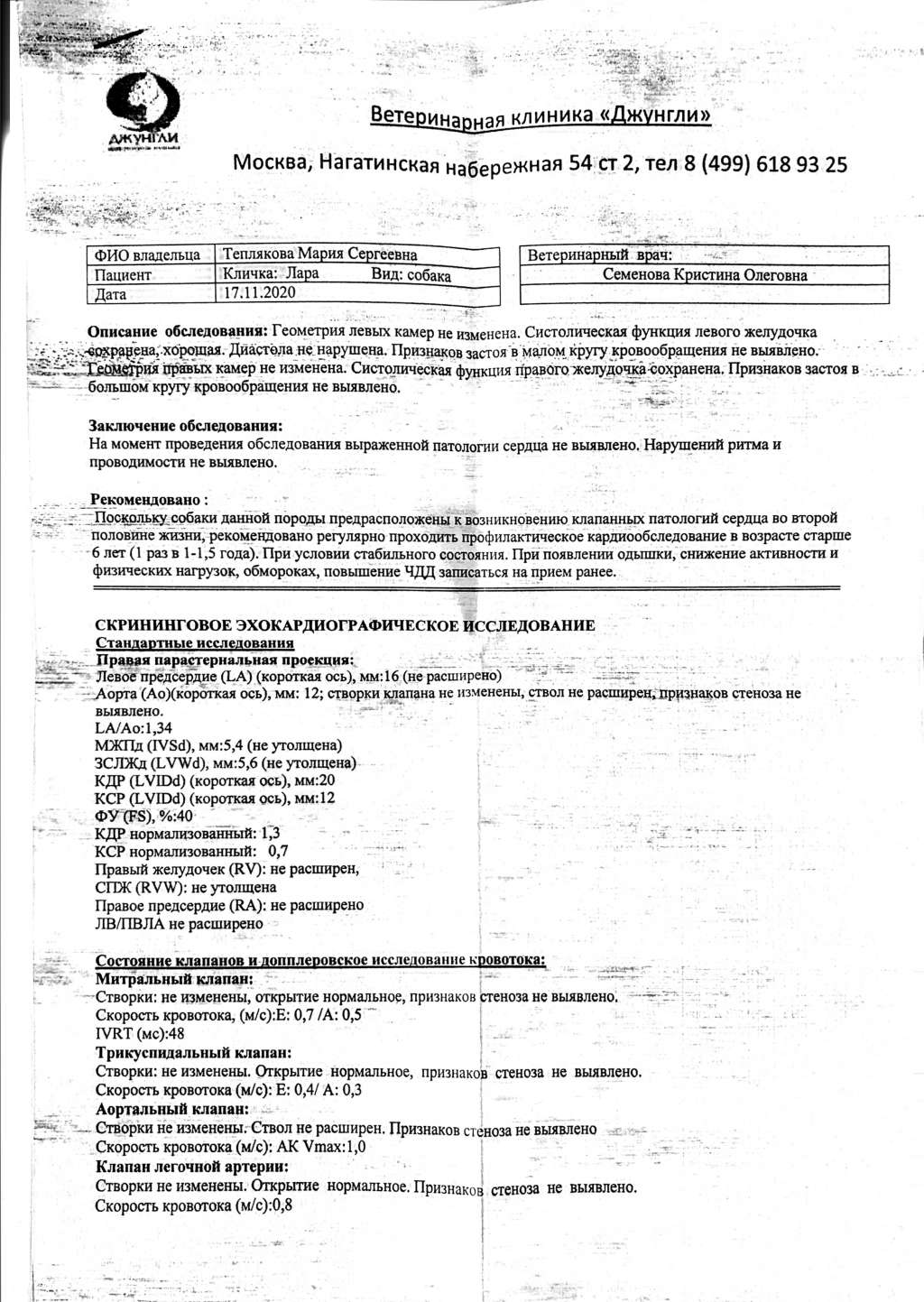 Stella Plyus Izvestnaya Larushka