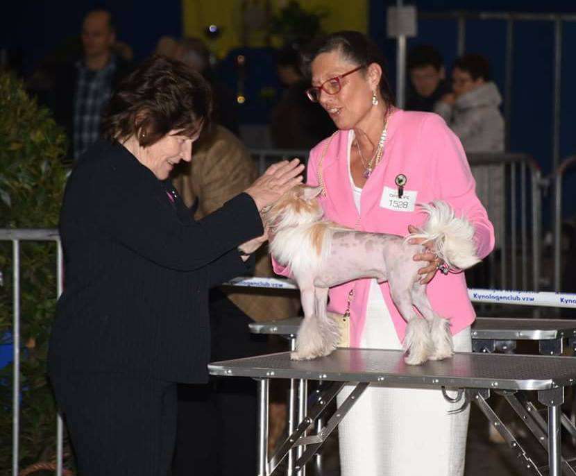 BJCH Caviar Von Shinbashi