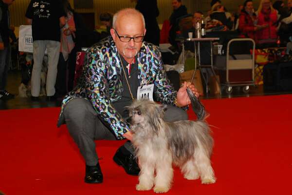 U Got The Look Princes de la Roses