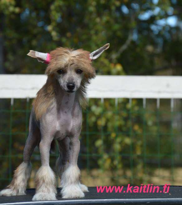 Kaitlin Light and Shine