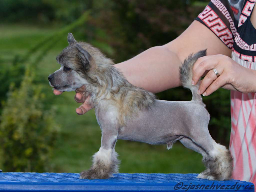 Nefrit z Jasne hvezdy