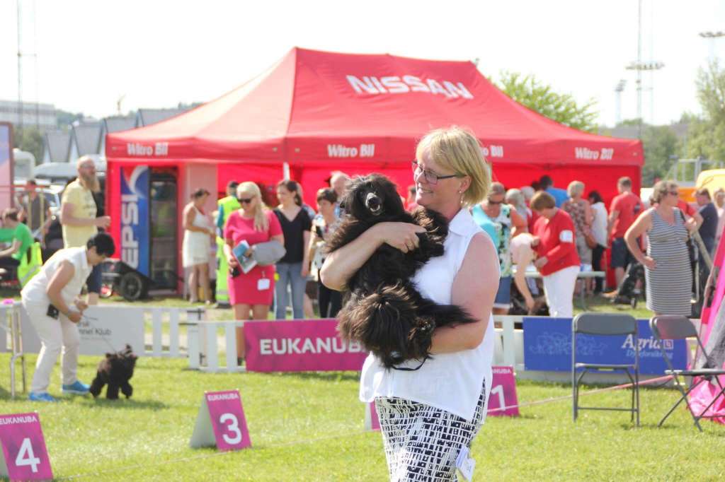 Dark Horse to Vidar by Little Jade